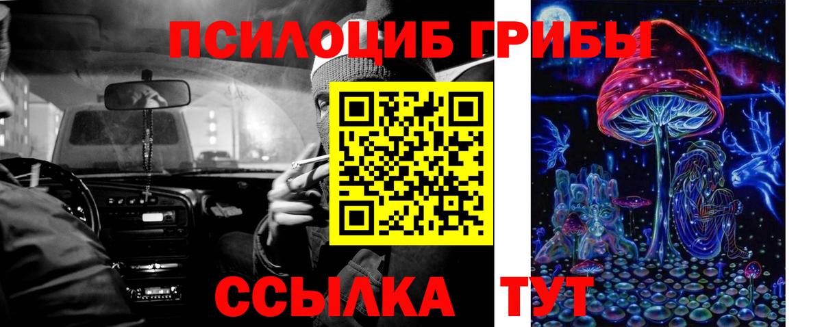 Подольск  Галлюциногенные грибы Magic Shrooms  Псилоцибиновые грибы Psilocybe  Вход с VPN 